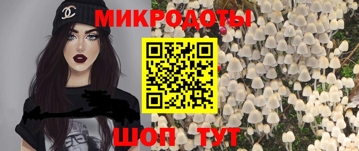 Галлюциногенные грибы Psilocybe  Вход с VPN  Тавда  Галлюциногенные грибы Psilocybine cubensis 